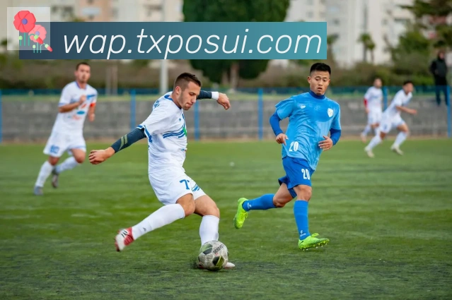 爱游戏官网荣誉